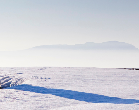 winterizing your commercial roof