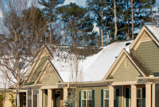 winter roof care